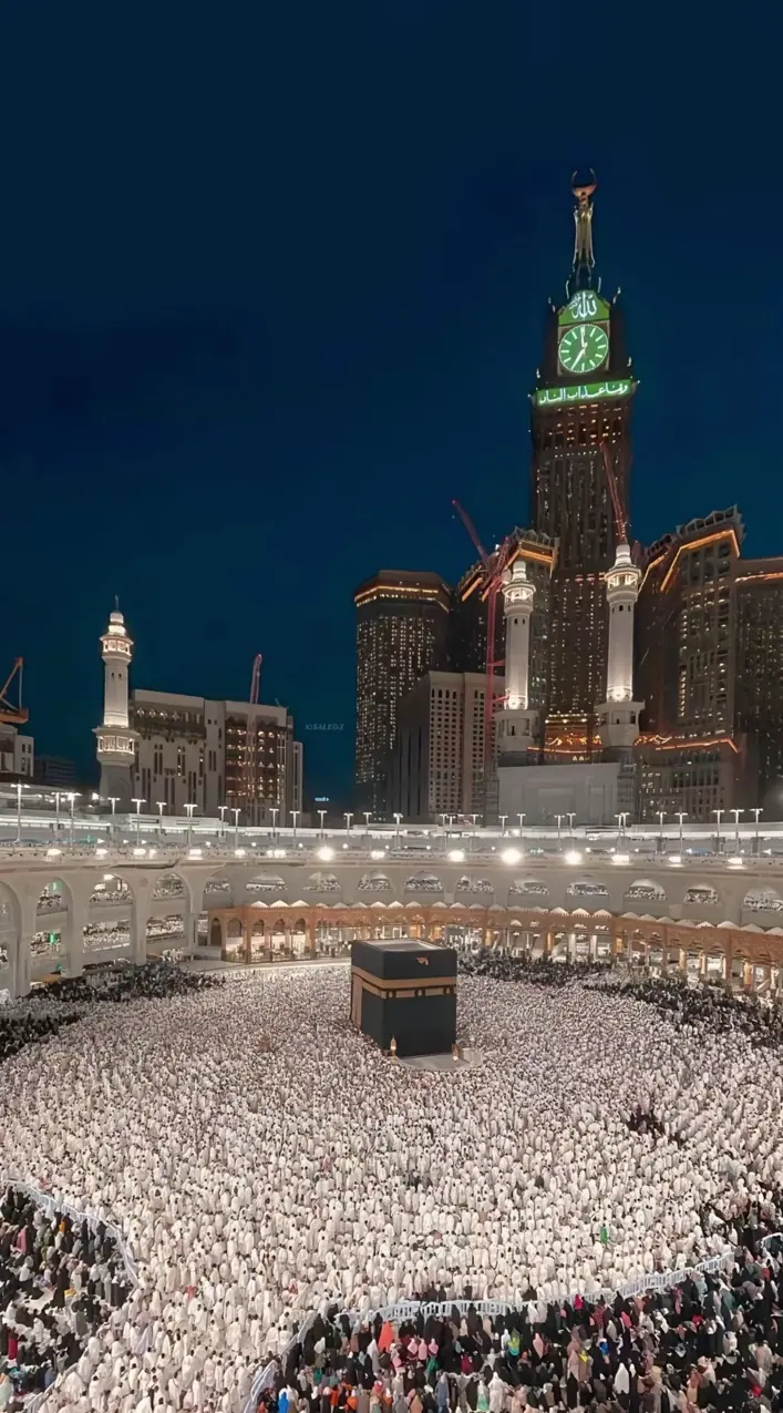 صورة فوتوغرافية حقيقية لغلاف البكج