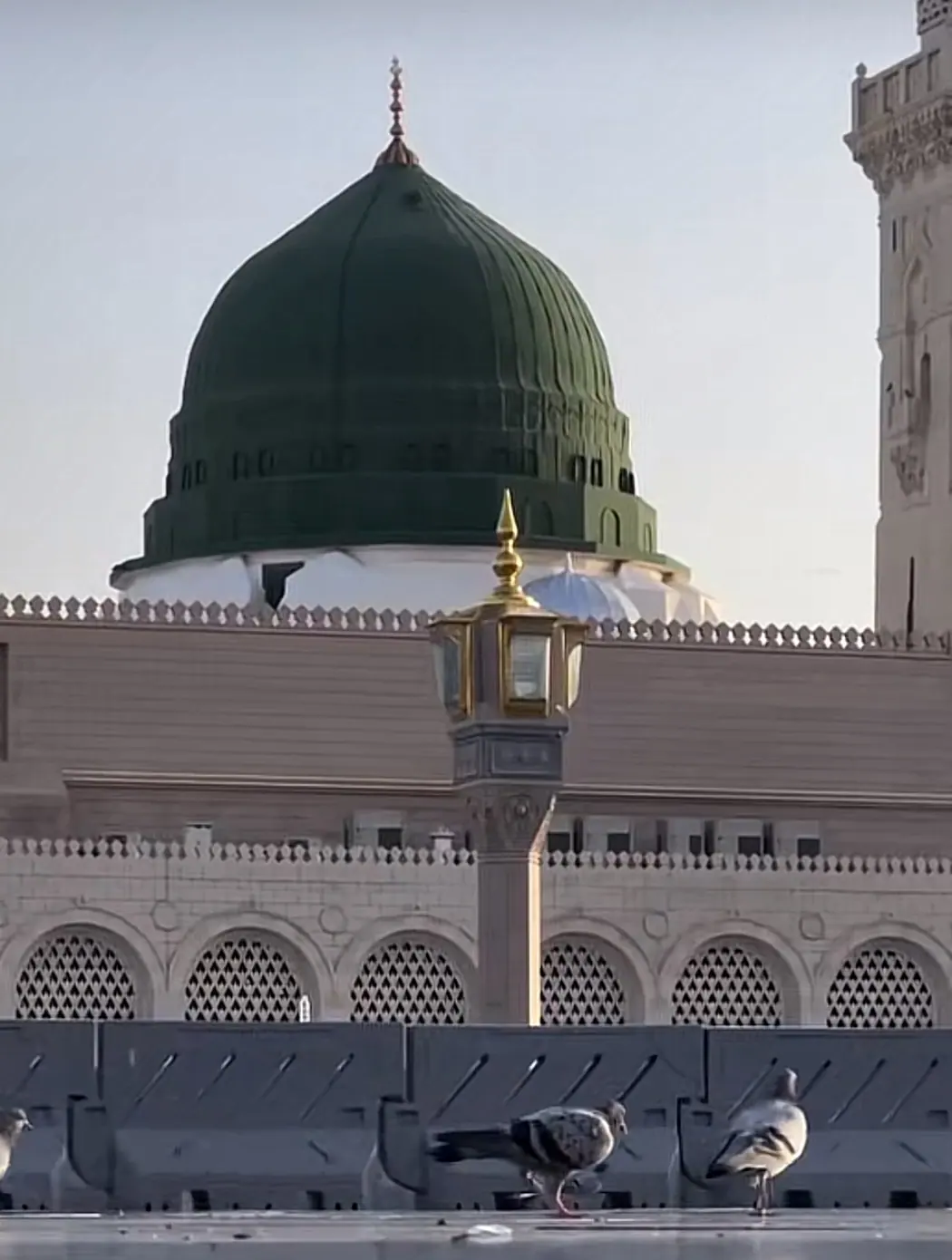 صورة حقيقية للمسجد النبوي في المدينة المنورة